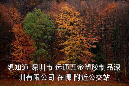 想知道 深圳市 遠通五金塑膠制品深圳有限公司 在哪 附近公交站