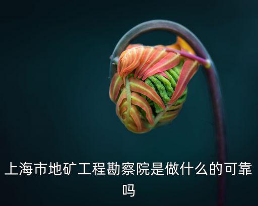 上海市地礦工程勘察院是做什么的可靠嗎