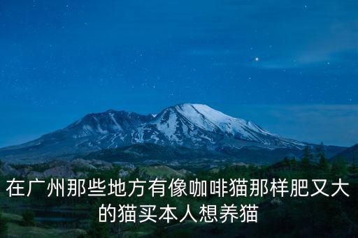 在廣州那些地方有像咖啡貓那樣肥又大的貓買本人想養(yǎng)貓