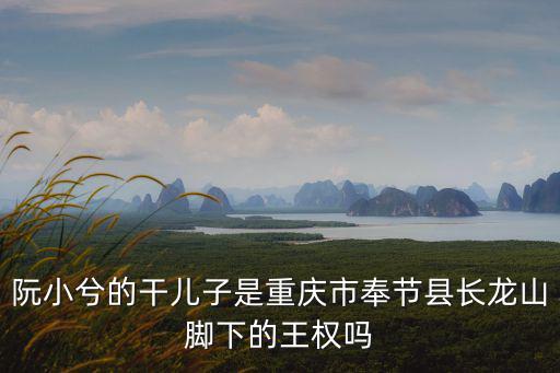 阮小兮的干兒子是重慶市奉節(jié)縣長龍山腳下的王權(quán)嗎