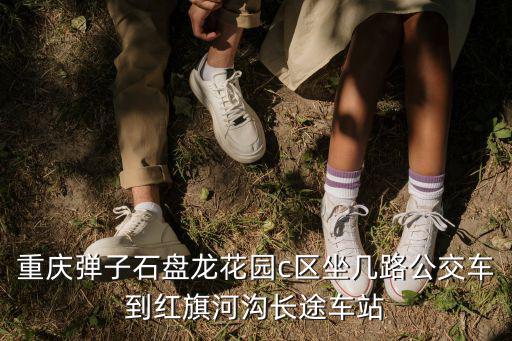 重慶彈子石盤龍花園c區坐幾路公交車到紅旗河溝長途車站