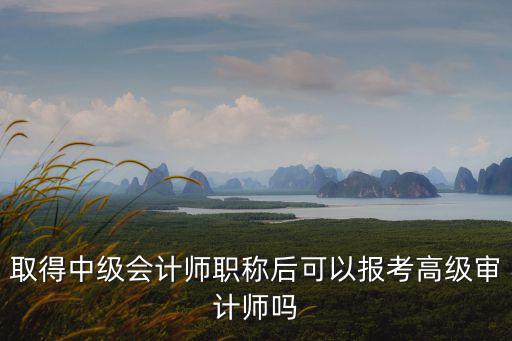 取得中級會計師職稱后可以報考高級審計師嗎