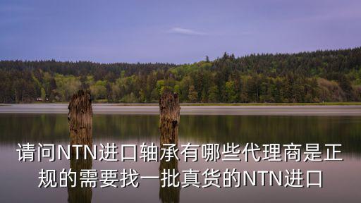 廣州市邢海機電軸承有限公司，問地址問公司廣州市白云區鐘落潭鎮廣從八路松嶺105106號  搜