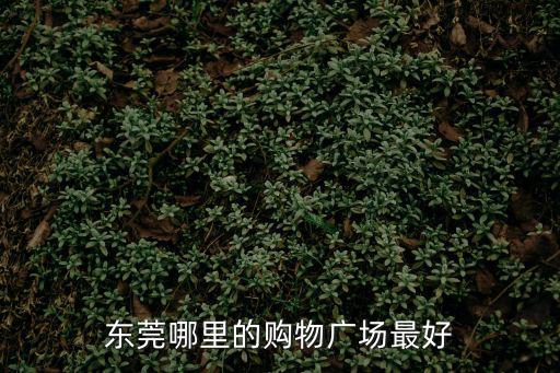 東莞東城哪里有逛街的地方，東莞購物商場有哪些啊