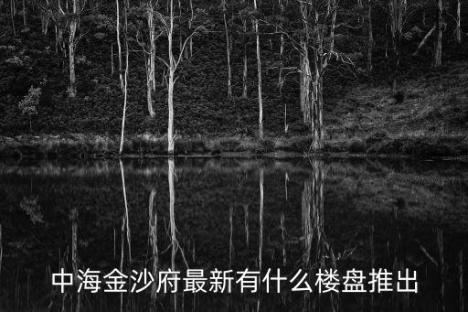 中海金沙府最新有什么樓盤推出