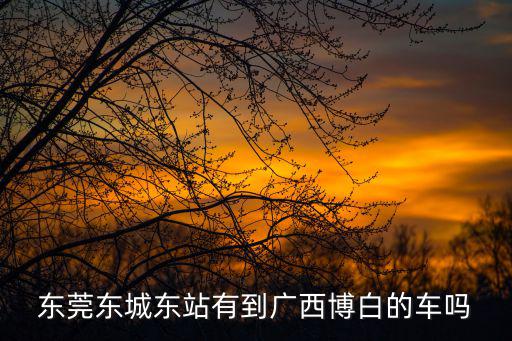東莞到博白江寧的車嗎，東莞哪個車站有到博白的車