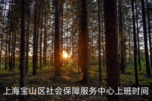 上海市寶山路街道社保中心，上海市社保中心在哪里