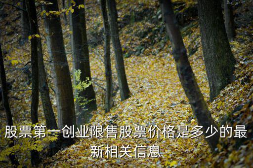 股票第一創(chuàng)業(yè)限售股票價(jià)格是多少的最新相關(guān)信息