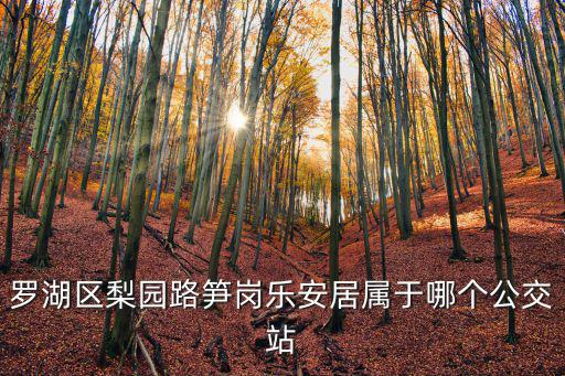羅湖區梨園路筍崗樂安居屬于哪個公交站