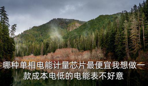 哪種單相電能計(jì)量芯片最便宜我想做一款成本電低的電能表不好意