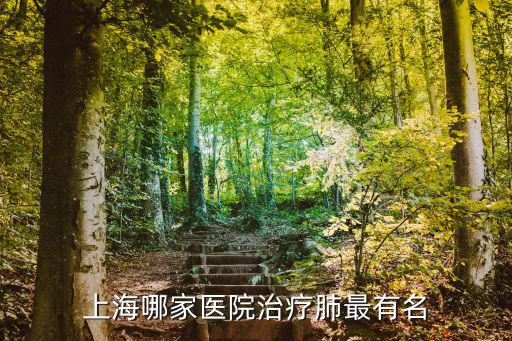 上海哪家醫院治療肺最有名