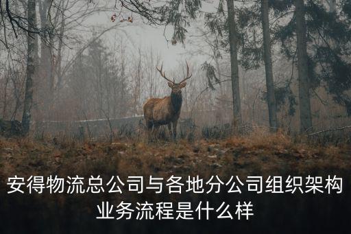 安得物流總公司與各地分公司組織架構業務流程是什么樣