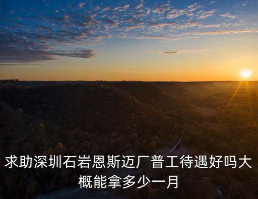 求助深圳石巖恩斯邁廠普工待遇好嗎大概能拿多少一月