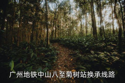廣州地鐵中山八至菊樹站換承線路