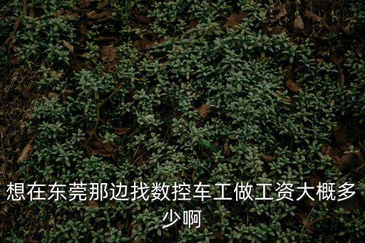 想在東莞那邊找數(shù)控車工做工資大概多少啊