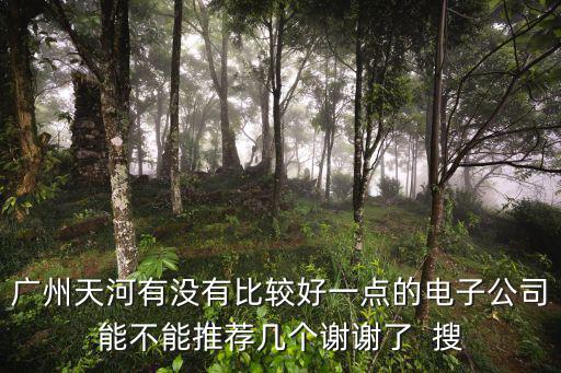 廣州天河有沒有比較好一點的電子公司能不能推薦幾個謝謝了  搜