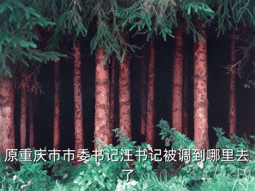 原重慶市市委書記汪書記被調到哪里去了