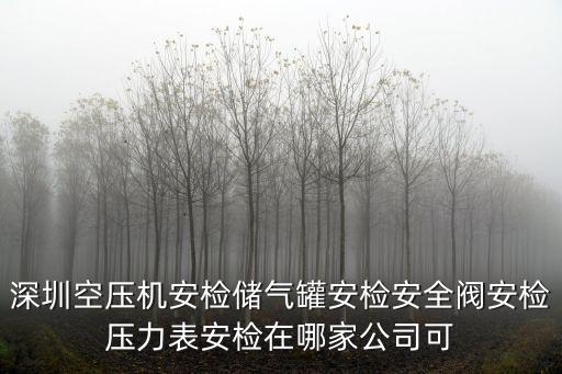 深圳空壓機安檢儲氣罐安檢安全閥安檢壓力表安檢在哪家公司可