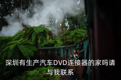 深圳有生產汽車DVD連接器的家嗎請與我聯系
