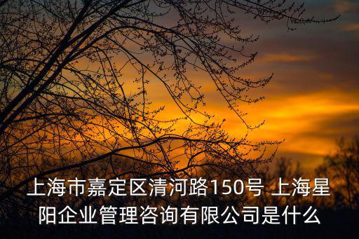 上海市嘉定區稅務所8所，上海市嘉定區寶安公路2525號是什么單位