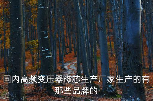 國內高頻變壓器磁芯生產廠家生產的有那些品牌的