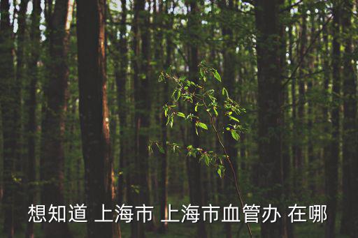 想知道 上海市 上海市血管辦 在哪