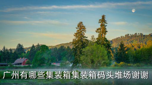 廣州有哪些集裝箱集裝箱碼頭堆場謝謝