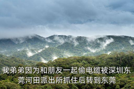 東莞電纜被盜，我弟弟因為和朋友一起偷電纜被深圳東莞河田派出所抓住后轉到東莞