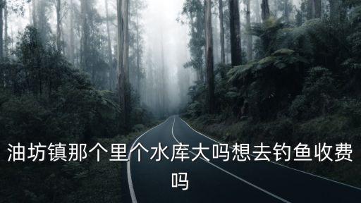 油坊鎮(zhèn)那個(gè)里個(gè)水庫(kù)大嗎想去釣魚(yú)收費(fèi)嗎