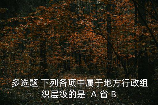  多選題 下列各項(xiàng)中屬于地方行政組織層級(jí)的是  A 省 B