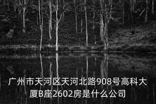 廣州市天河區天河北路908號高科大廈B座2602房是什么公司