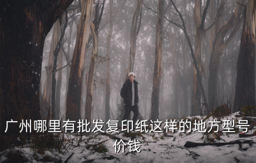 廣州哪里有批發(fā)復(fù)印紙這樣的地方型號(hào)價(jià)錢
