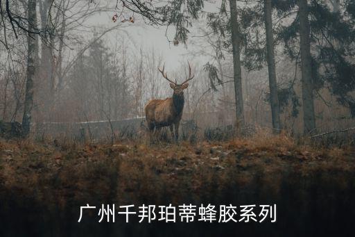 廣州千邦，千邦智能變電壓力鍋多少錢一個6升的12個按鍵20多個功能的