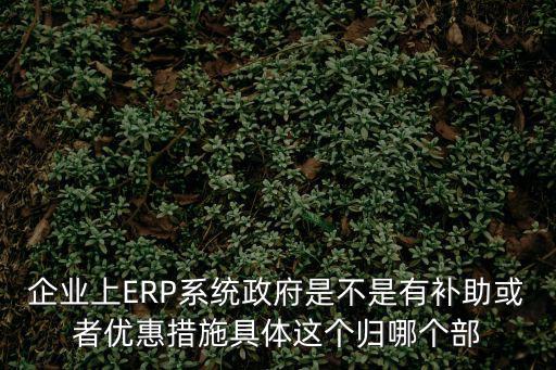 廣州企業(yè)erp補(bǔ)貼，廣州企業(yè)每認(rèn)定1件高新技術(shù)產(chǎn)品補(bǔ)助是多少