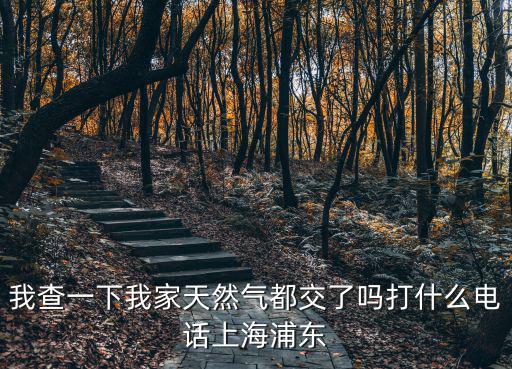 我查一下我家天然氣都交了嗎打什么電話上海浦東