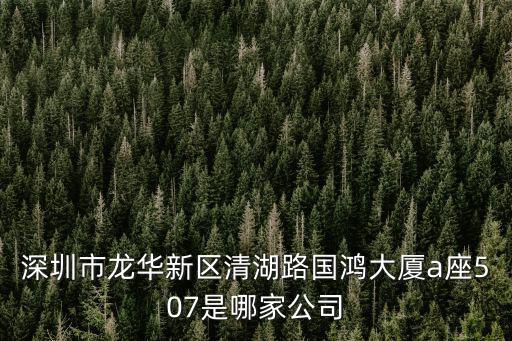深圳市龍華新區清湖路國鴻大廈a座507是哪家公司