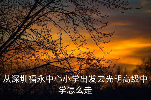 從深圳福永中心小學出發去光明高級中學怎么走