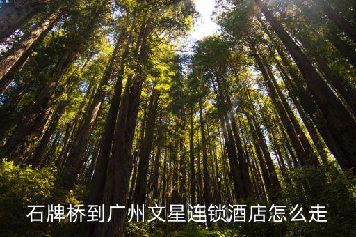 石牌橋到廣州文星連鎖酒店怎么走