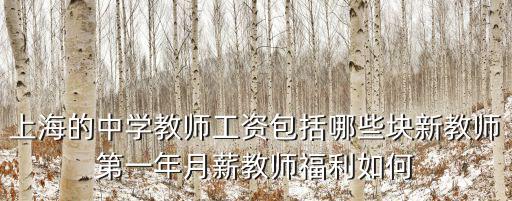 上海市工會教師福利，上海示范級一級等各級幼兒園老師的工資福利一樣嗎