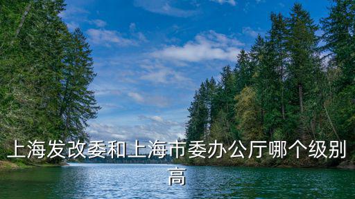 上海發改委和上海市委辦公廳哪個級別高