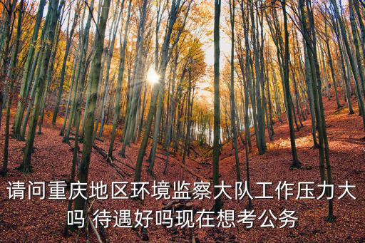 請問重慶地區環境監察大隊工作壓力大嗎 待遇好嗎現在想考公務