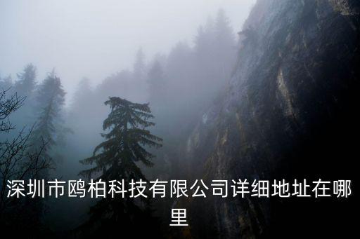 深圳市鷗柏科技有限公司詳細(xì)地址在哪里