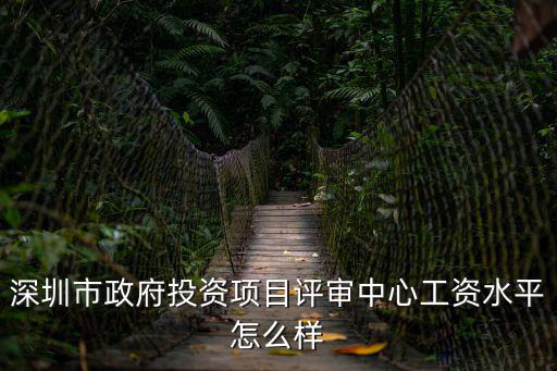 深圳市政府投資項(xiàng)目評(píng)審中心工資水平怎么樣