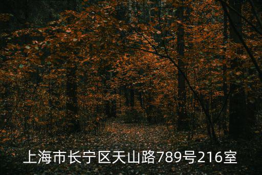 上海市長寧區天山路789號216室