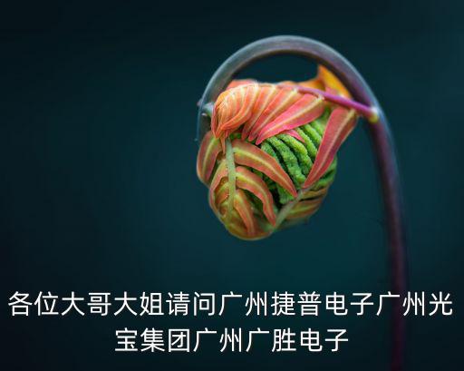 良圖科技廣州，請問廣州商品的打假公司有那些呢我的廠最近有點麻煩