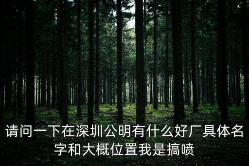 請問一下在深圳公明有什么好廠具體名字和大概位置我是搞噴