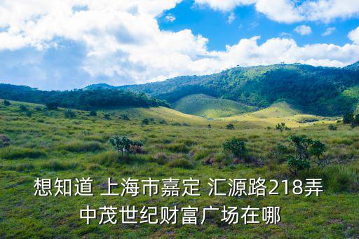 想知道 上海市嘉定 匯源路218弄中茂世紀財富廣場在哪