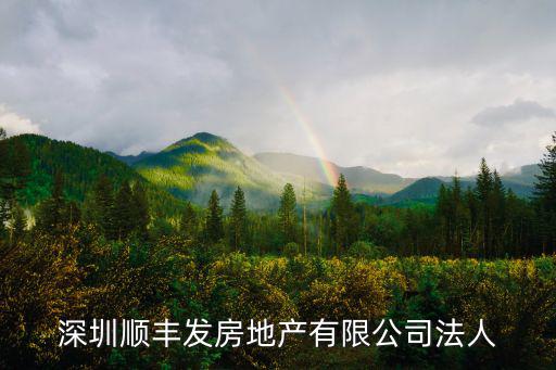 深圳順豐發(fā)房地產(chǎn)有限公司法人