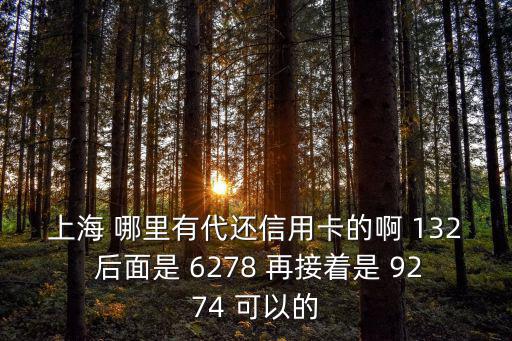 上海 哪里有代還信用卡的啊 132 后面是 6278 再接著是 9274 可以的
