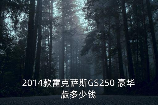 2014款雷克薩斯GS250 豪華版多少錢